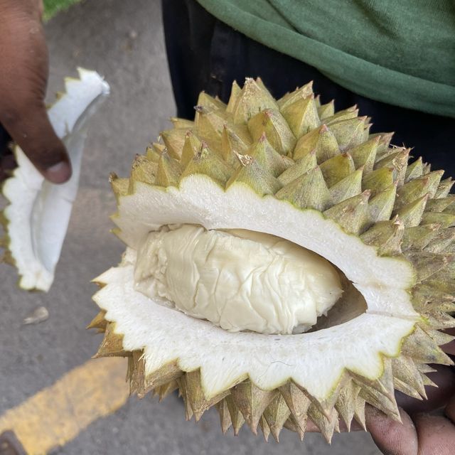 Balik Pulau: Durian Monsoon