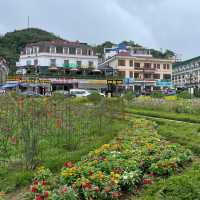 Lakeside Reverie: Embracing Sapa's Charm