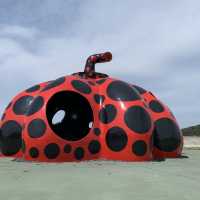 In search for the red and yellow pumpkins- Naoshima 