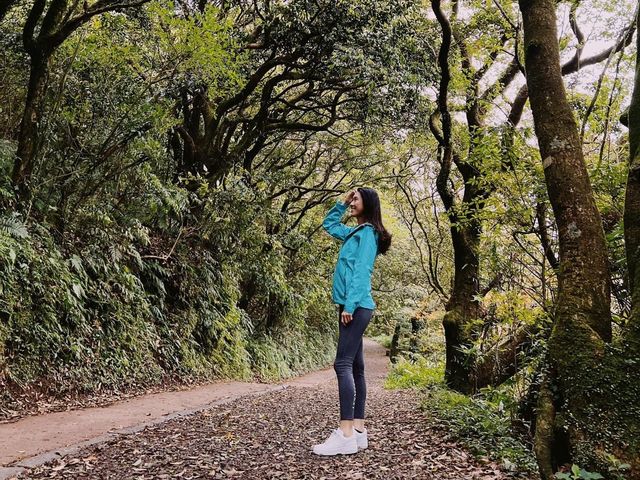 陽明山二子坪步道，非常簡單容易完成，適合親子來散步觀賞生態