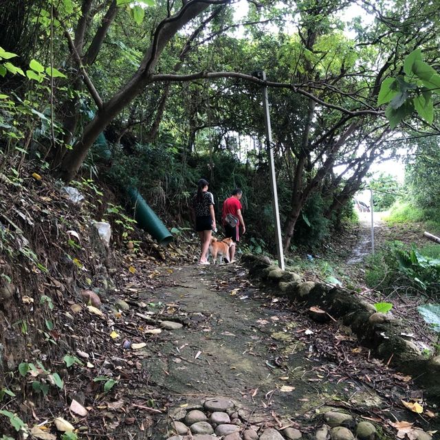 老坑溪浣衣池