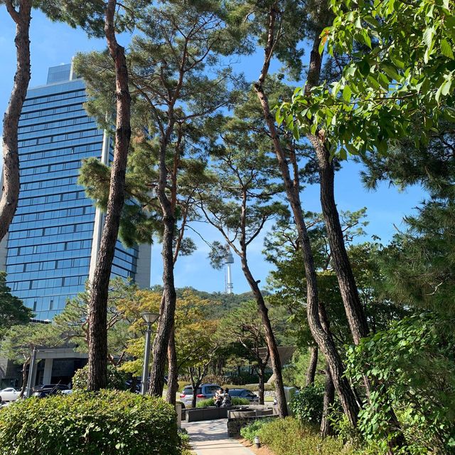 투명유리 수영장, 반얀트리 오아시스 클럽앤스파 👙🏊‍♀️