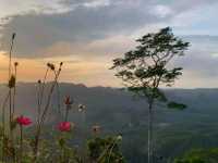 Nottyjourney เจอ ดอยตาปัง