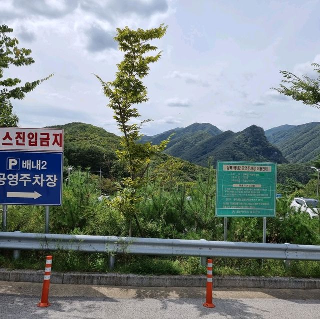가을의 시작 억새보러가자