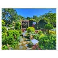 童話小屋。將軍澳寶康公園