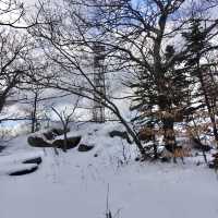 A hike up Overlook Mountain and Fire Tower