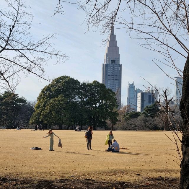 도쿄 도심 속에 이렇게 큰 공원이⁉️🏞