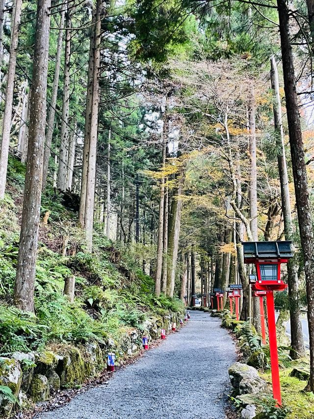 【京都府/貴船神社（奥宮）】龍穴のパワー渦巻く！