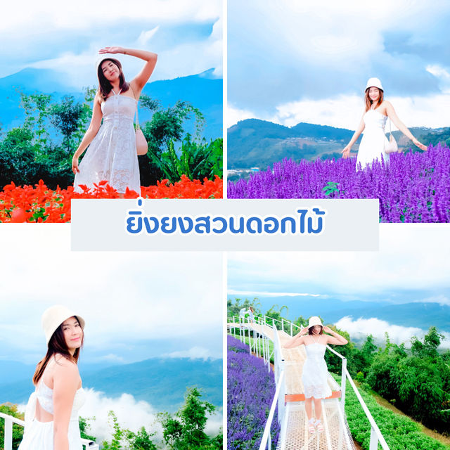 เที่ยวเชียงใหม่ 8 วัน 7 คืน 