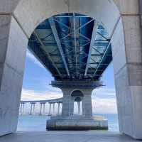 Amazing Coronado Bridge 