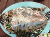 กินส้มตำกันร้านอาหารป้าอ้วน 2 