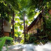 คาเฟ่