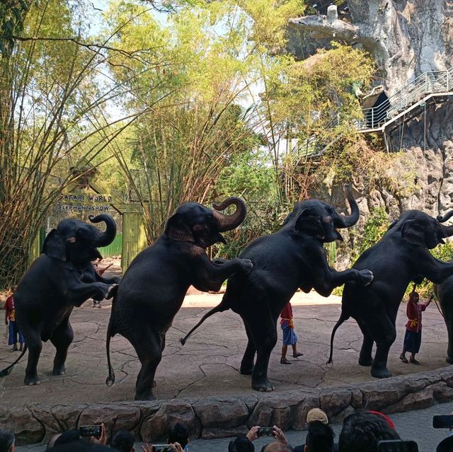 泰國最大野生動物園Safari world