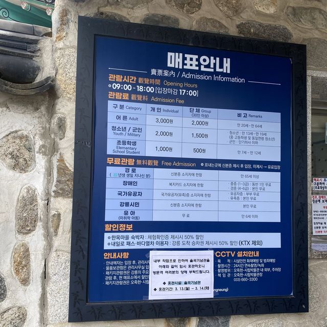 강릉까지 왔다면~ “오죽헌” 까만 대나무 보고가셔용 🎋🖤