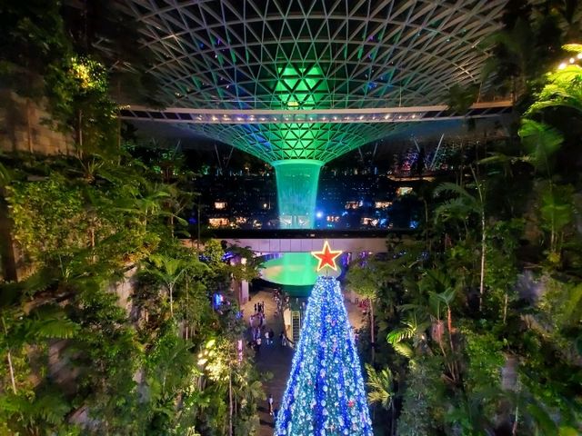 【新加坡】💫 星耀樟宜 Jewel Changi Airport