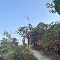 Hidden Long Beach - Phi Phi Island 