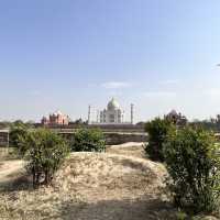 Tranquil Mehtab Bagh: Taj Mahal's Viewpoint