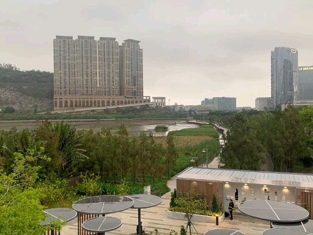 一望無際的“”龍環葡韻濕地” 澳門免費景點 