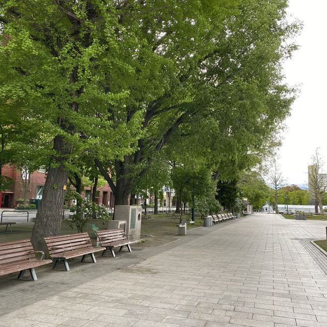 北海道札幌「大通公園」実は道路でした