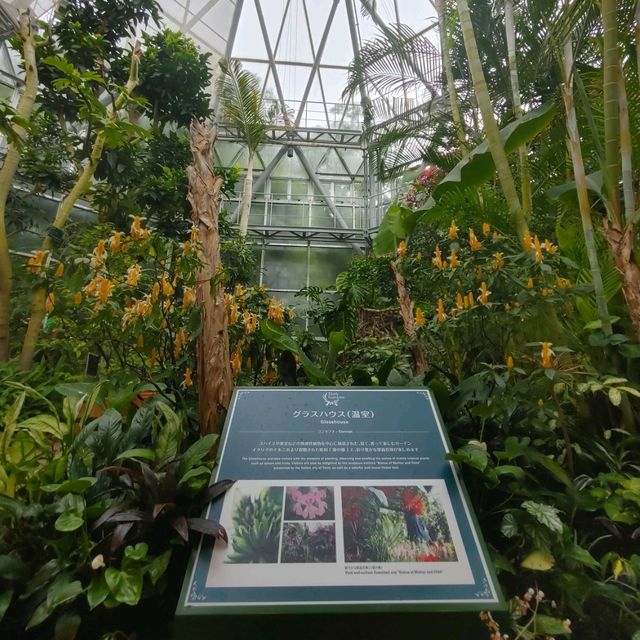 雨の日も楽しい！神戸布引ハーブ園　温室展示「ハーブのある暮らし」