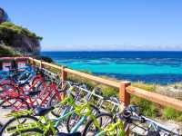 【オーストラリア・ロットネスト島】島の巡り方🚲