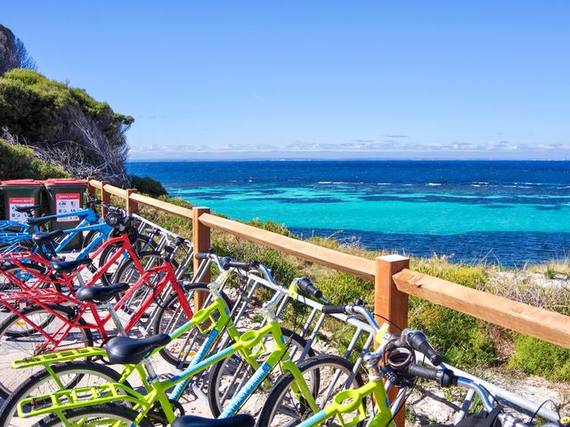 【オーストラリア・ロットネスト島】島の巡り方🚲