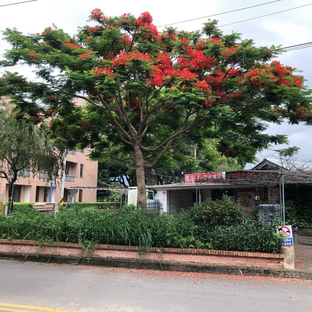 石門活魚發源地