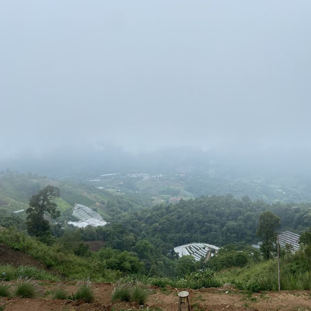 몬잼 속 운치 있는 최고의 뷰포인트! 🏡 🌁