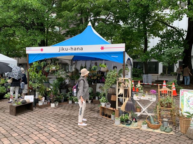 札幌　札幌観光　今がベストシーズン！初夏の札幌　花フェスタ！