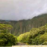 PARADISE ON EARTH - ALOHA FROM HAWAII 