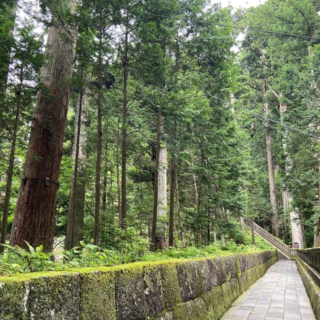 📍日光東照宮/栃木