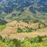 Sống Lưng Khủng Long Yên Bái