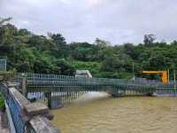 以猴子出名的金山郊野公園