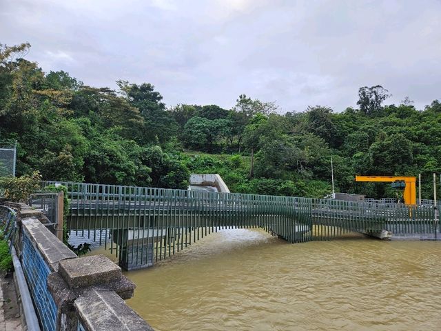 以猴子出名的金山郊野公園