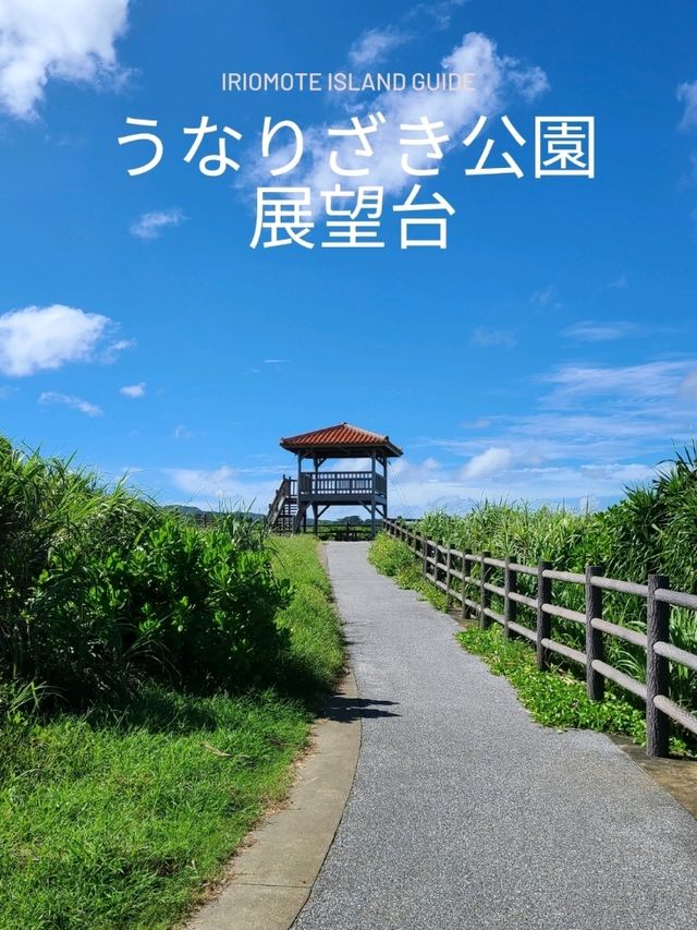 西表島の絶景ポイント うなりざき公園展望台