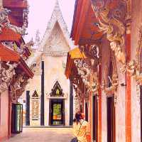 ที่สุดของ 1 ในวัดนครชัยศรี