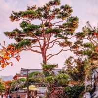 Great to see Jeonju Hanok Village in autumn