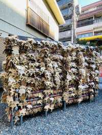 【京都府/御金神社】京都一 ゴージャスな鳥居