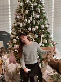 경주 보문호수 배경으로 남기는 크리스마스🎄