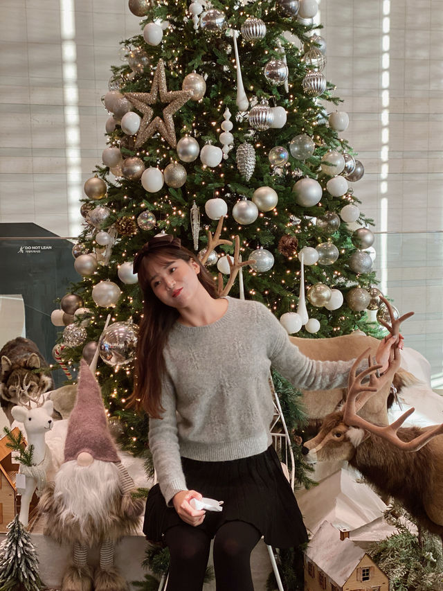 경주 보문호수 배경으로 남기는 크리스마스🎄