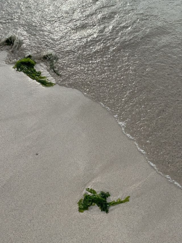 제주도 서쪽~! 아름다운 ‘협재해수욕장’ 을 소개합니다~!!🌊
