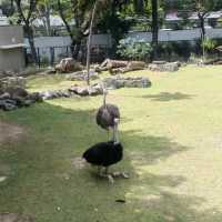 Manila Zoo
