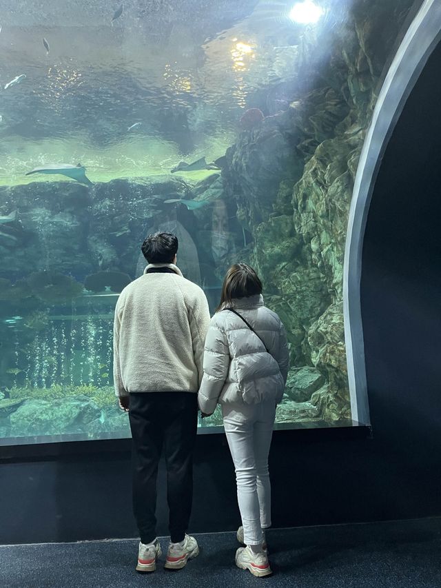 수원 광교 실내데이트 장소🧜🏻‍♀️