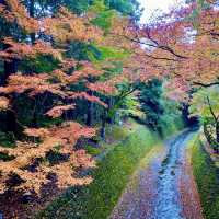 【京都】と言えば嵐山、金閣寺、清水寺