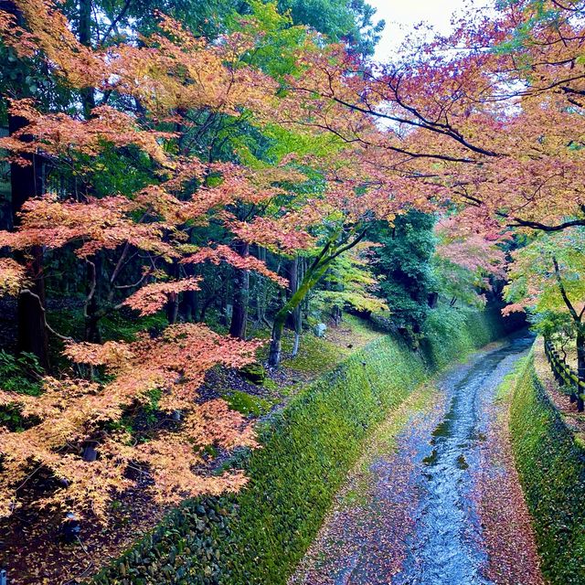 【京都】と言えば嵐山、金閣寺、清水寺