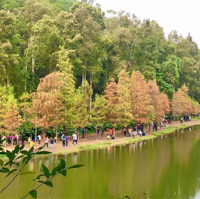 粉嶺流水響