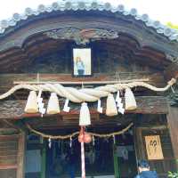 【香川】孔雀藤の岩田神社