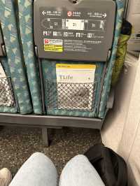 Experienced High Speed Railway HSR - Taipei 