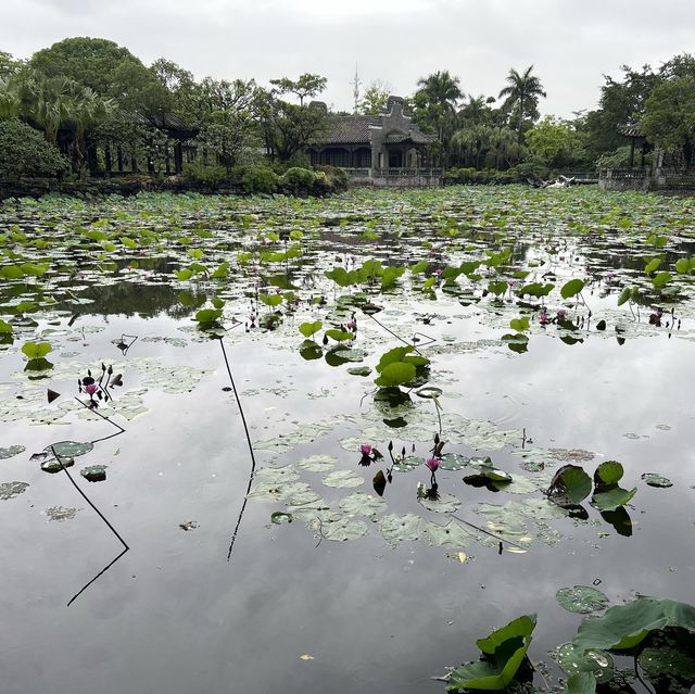 在「粵暉園」挖掘嶺南歷史文化