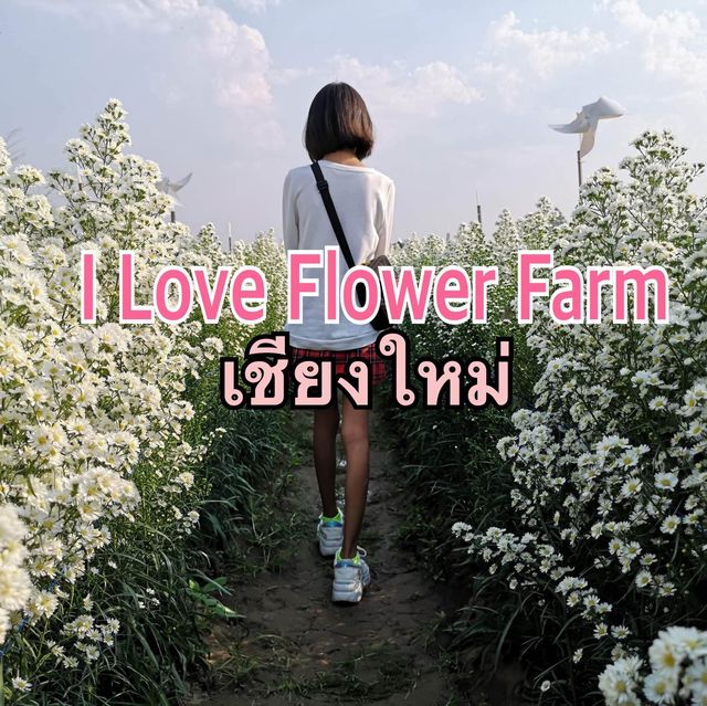 I Love Flower Farm 